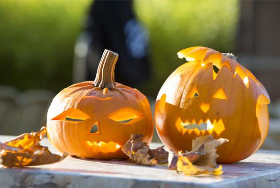 Halloween pompoenen | Vakantiepark Zeebad